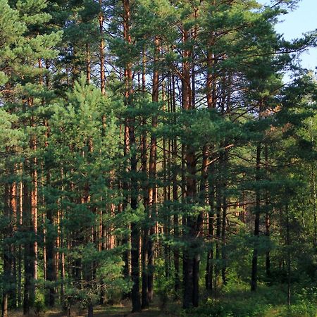 Apartamentai Laima Друскінінкай Екстер'єр фото